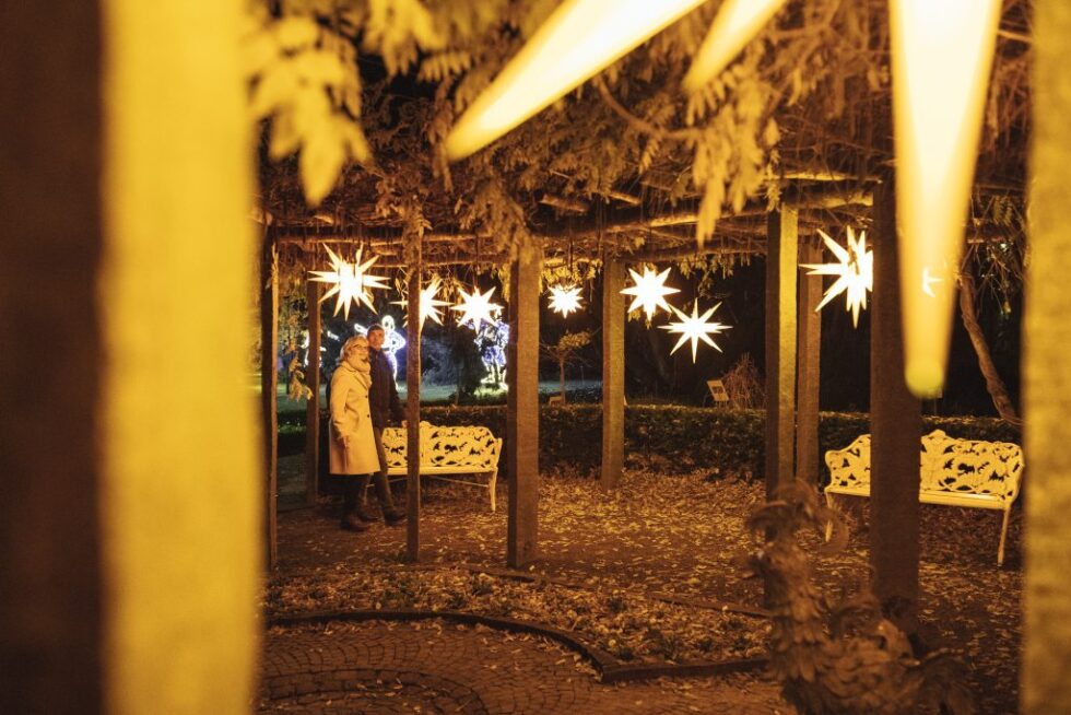 Ihr Besuch Christmas Garden Insel Mainau