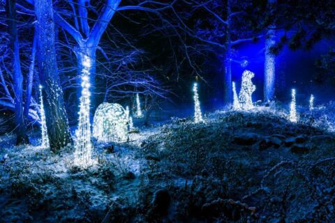 Christmas Garden Berlin - Official Site