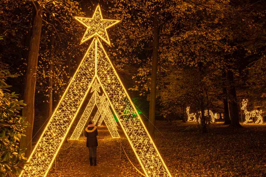 Christmas Garden Berlin 2019 | Firework Trees ©Christmas Garden/Michael Clemens