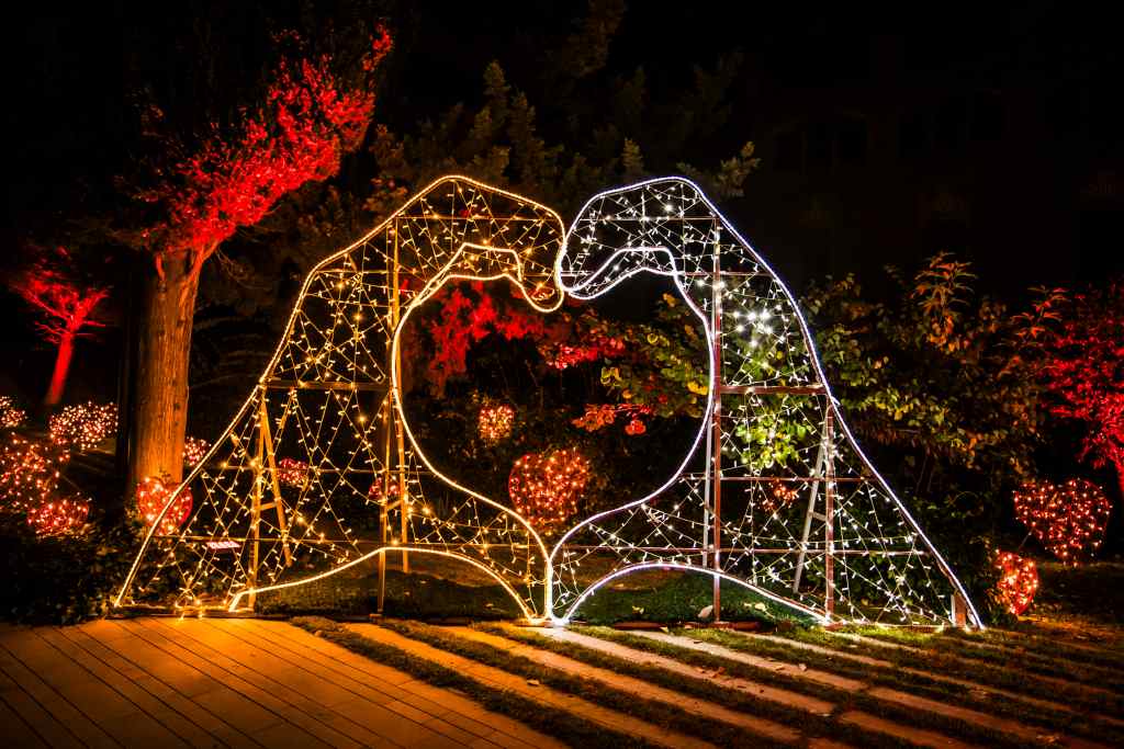 christmas-in-the-animal-park-2022©Weihnachten im Tierpark_Michael Clemens 