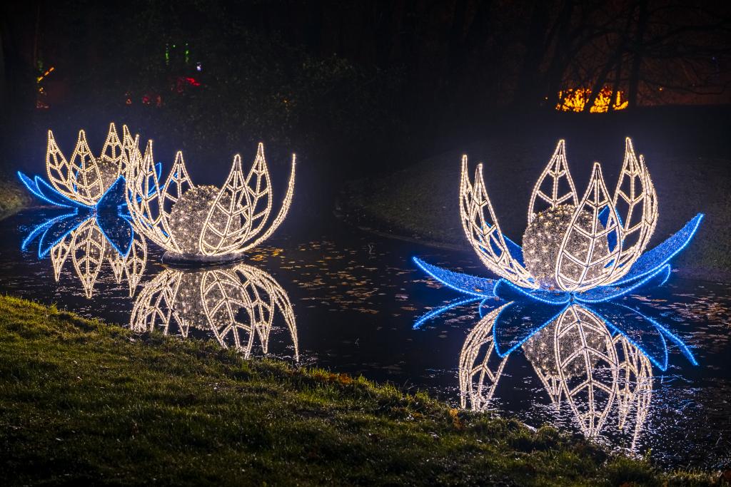 Christmas Garden Hannover 2021 | Water lily pond ©Christmas Garden/Jörg Kyas