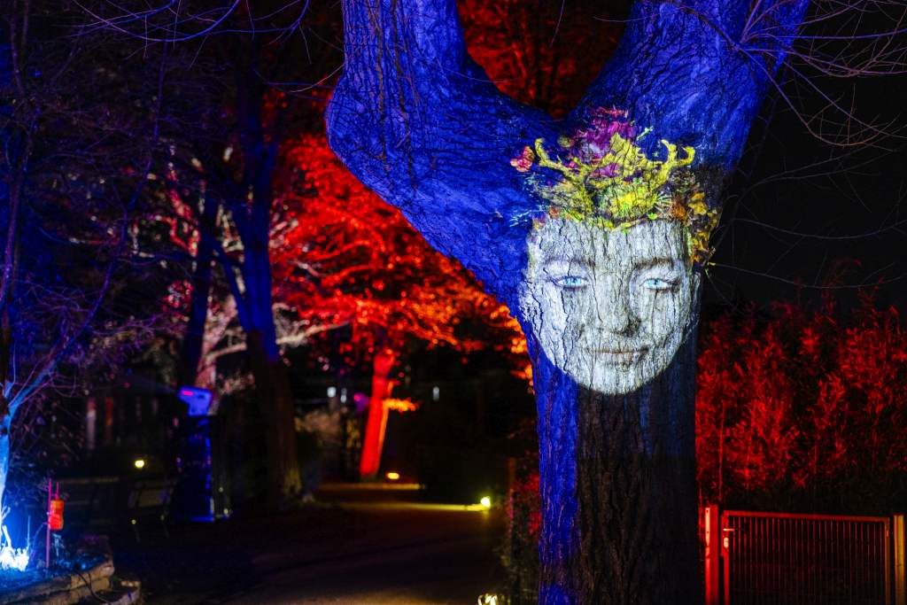 Christmas Garden Berlin 2019 | Firework Trees ©Christmas Garden/Michael Clemens