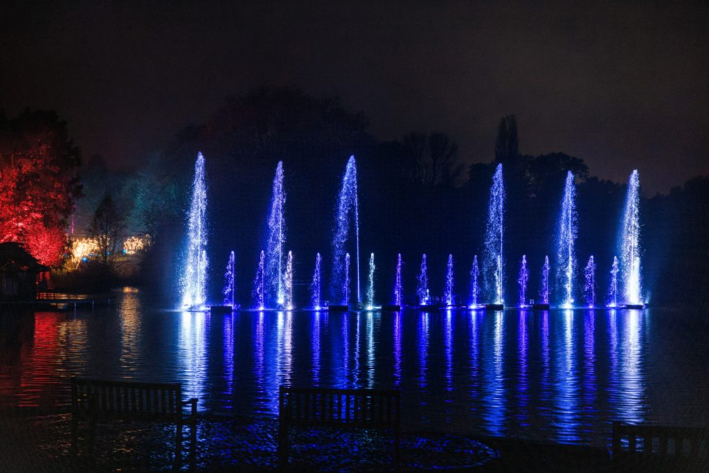 Christmas Garden Hannover 2021 | Field of Lights ©Christmas Garden/Jörg Kyas