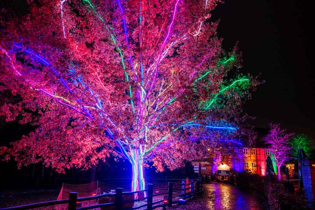 Christmas Garden Berlin 2019 | Steps to the moon©Christmas Garden/Michael Clemens