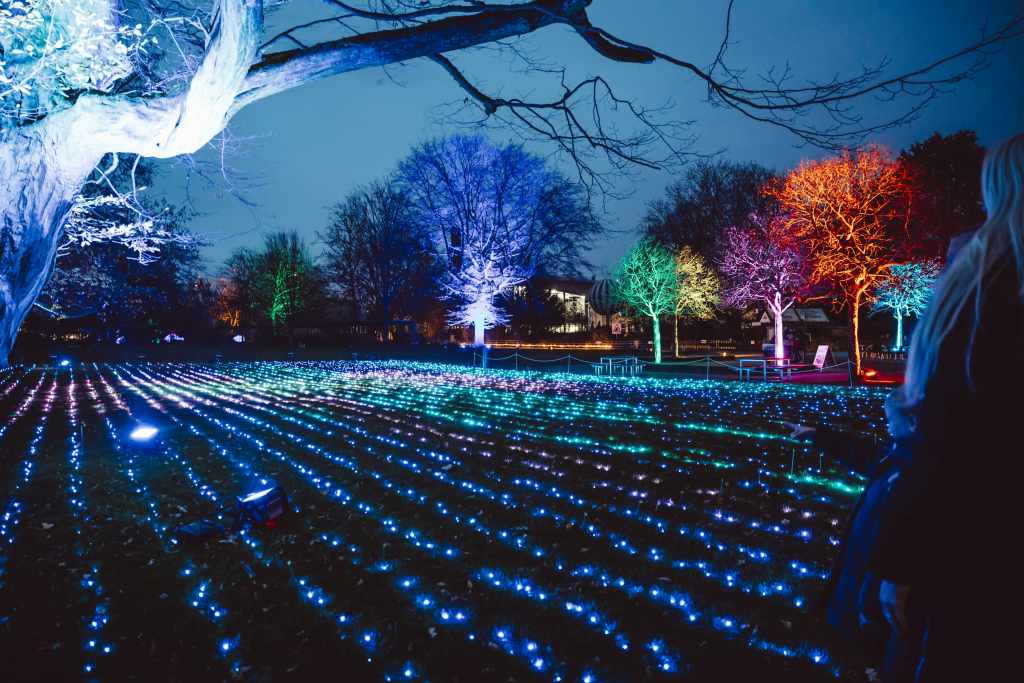 Christmas Garden Berlin 2021 | Eiswelt ©Christmas Garden/Michael Clemens